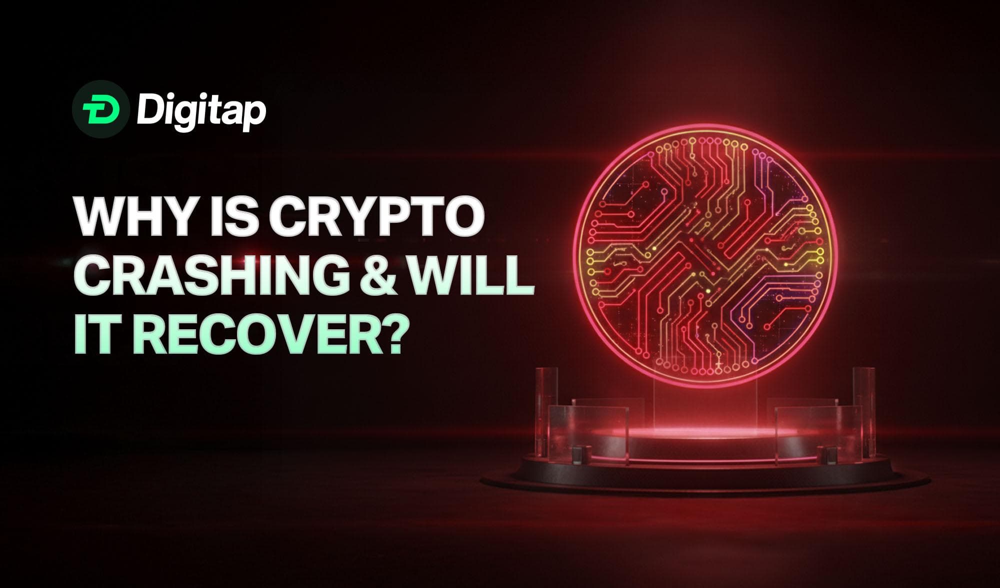 Why Is Crypto Crashing & Will It Recover?