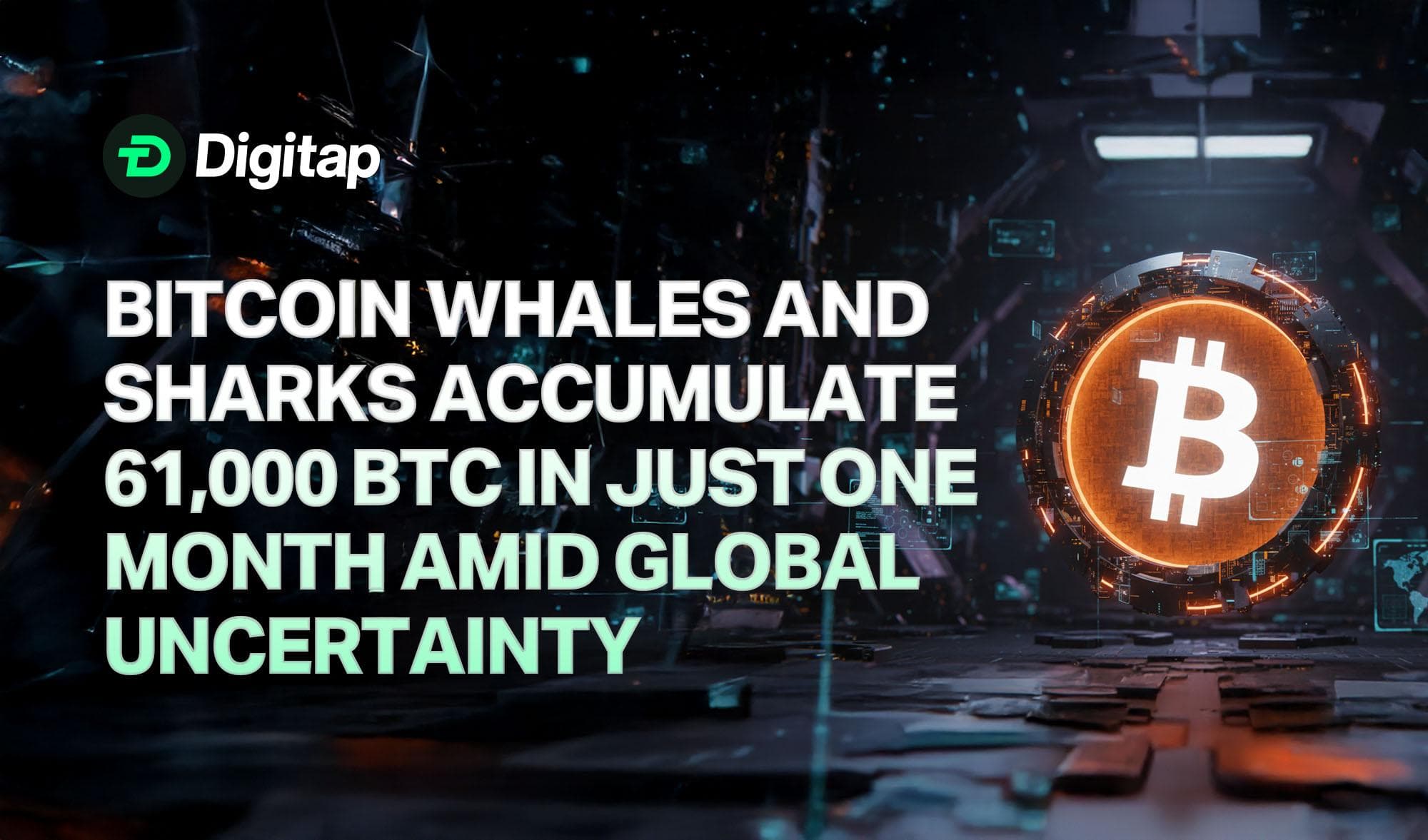 Bitcoin Whales and Sharks Accumulate 61,000 BTC in Just One Month Amid Global Uncertainty